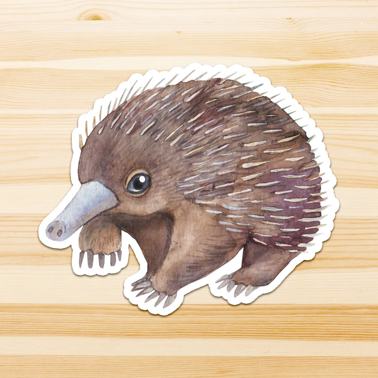 Watercolour By Cat - Wholesale Sticker - Large Australian Animal Vinyl Sticker18