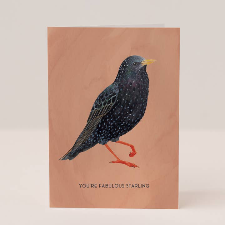 Mister Peebles - Wholesale Everyday Greeting Card - Fabulous Starling Card 1