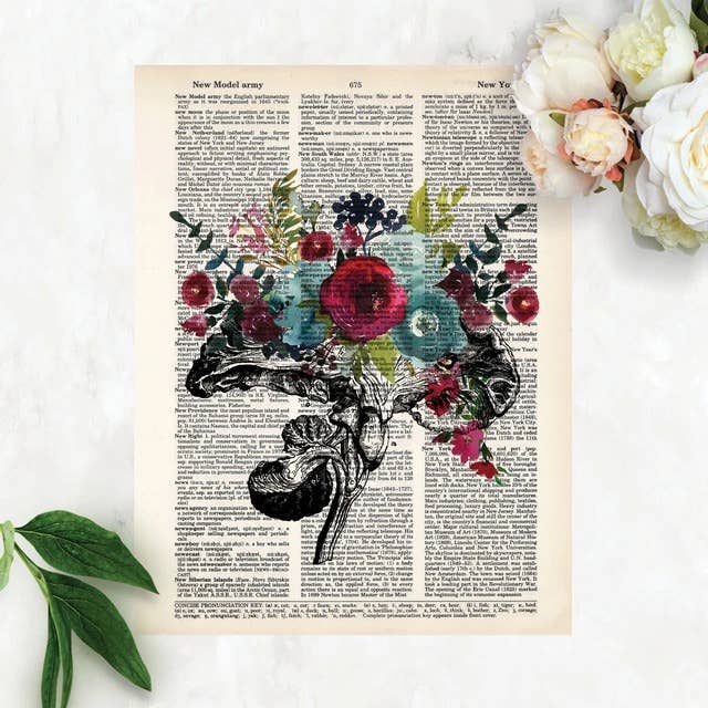 Blue Twist & Co - Wholesale Art Print - Brain Cross Section with Watercolor Flowers Anatomy Art