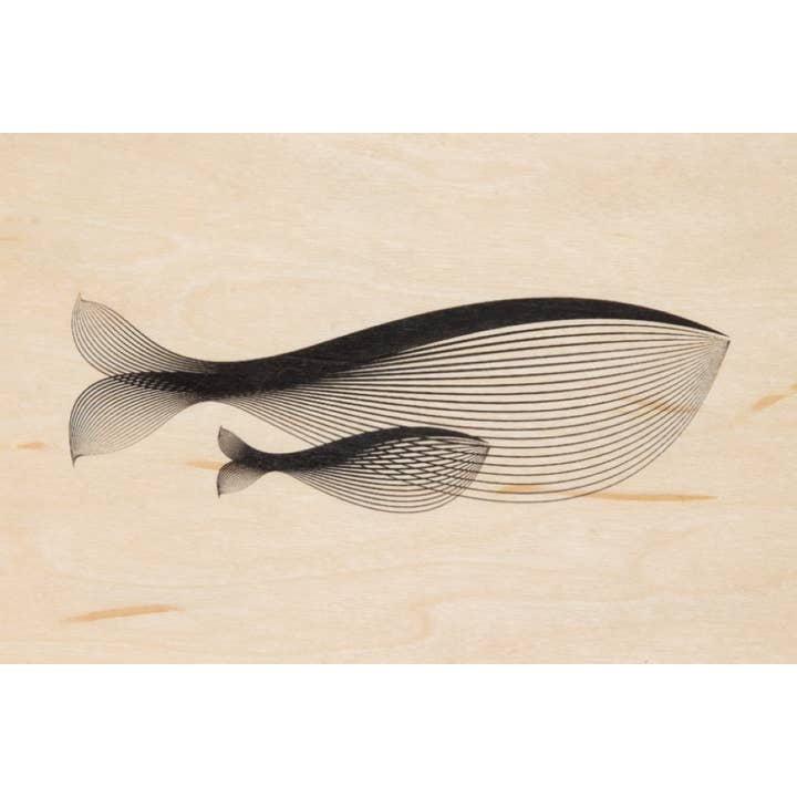 Woodhi - Wholesale Postcard - Wood Postcard Animals Whale