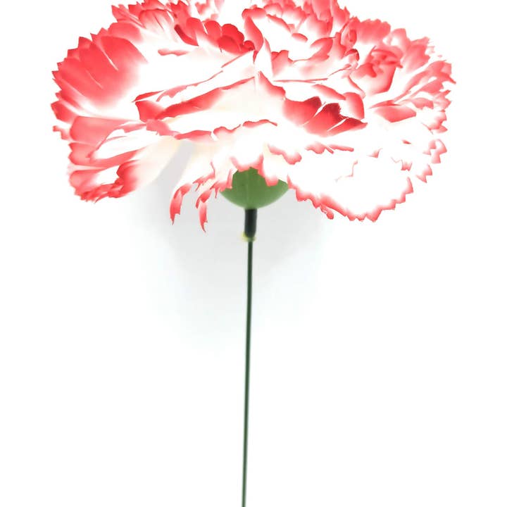 BRANDELIA - Wholesale Artificial Flowers - Clavel Grande Flamenco Flor Pelo · White Red Ø13cm2
