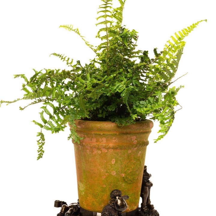 Jardinopia US - Wholesale Plant Pot - Wallace and Gromit Plant Pot Feet - Wallace, Grommit and Shaun the Sheep