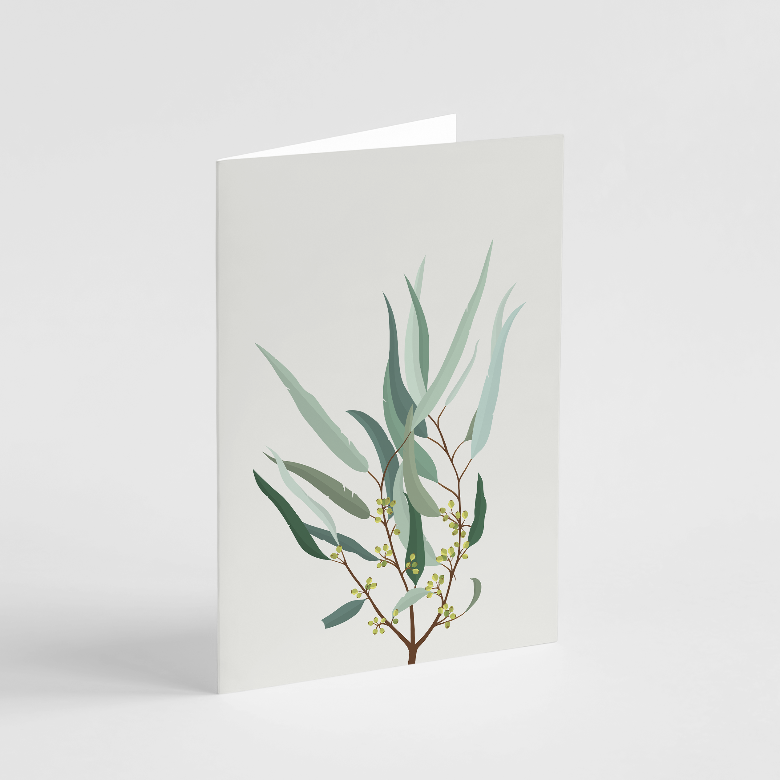 Popsy Press - Wholesale Everyday Greeting Card - Eucalyptus Card - All Occasions Australiana Australian Card1