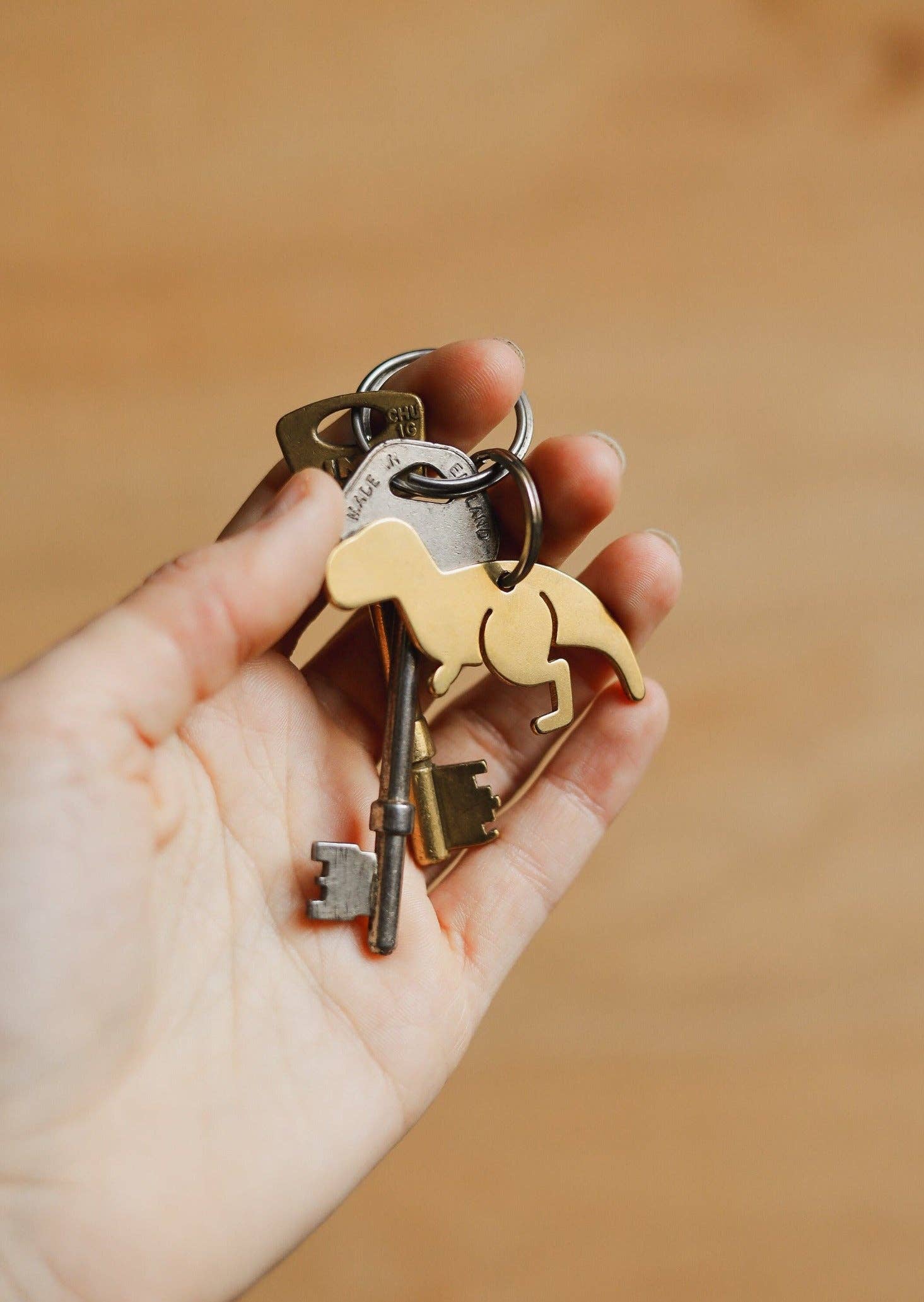 Pivot - Wholesale Keychain - Unisex - Dinosaur Keyring1