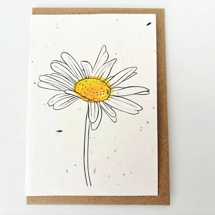 PlanetWrapIt - Wholesale Everyday Greeting Card - Plantable Greetings Card - Daisy1