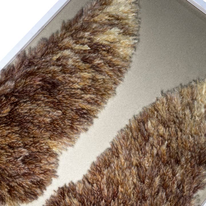 2626 Designs - Wholesale Wall Accent - Angel Wing Wall Art Made From Preserved Pampas Grass 40"1