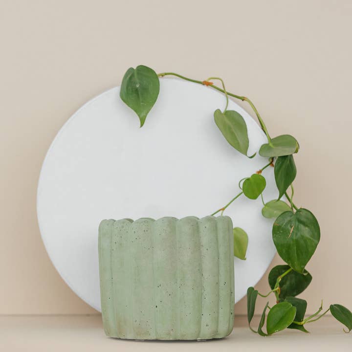 The Plant Supply - Wholesale Plant Pot - Scallop Planter - 4.5" | Concrete Plant Pot7