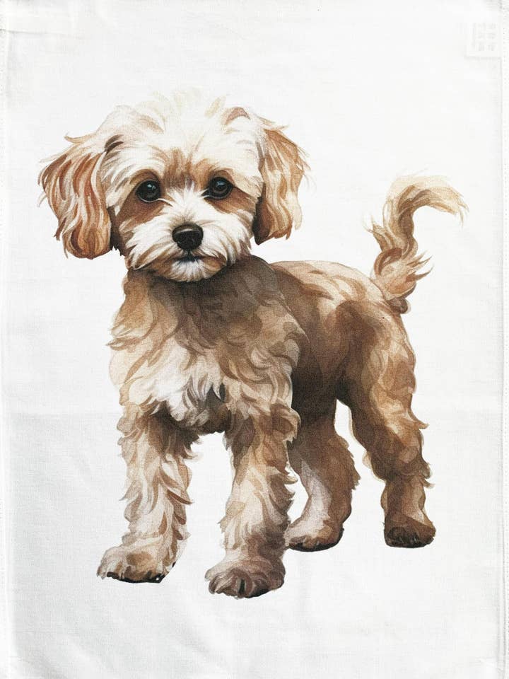 The Maltipoo large cotton tea towel for wholesale by Half a Donkey
