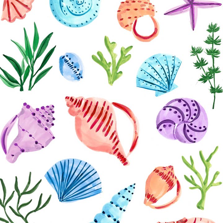 Impression d'art coquillages pour la vente par Sabina Fenn