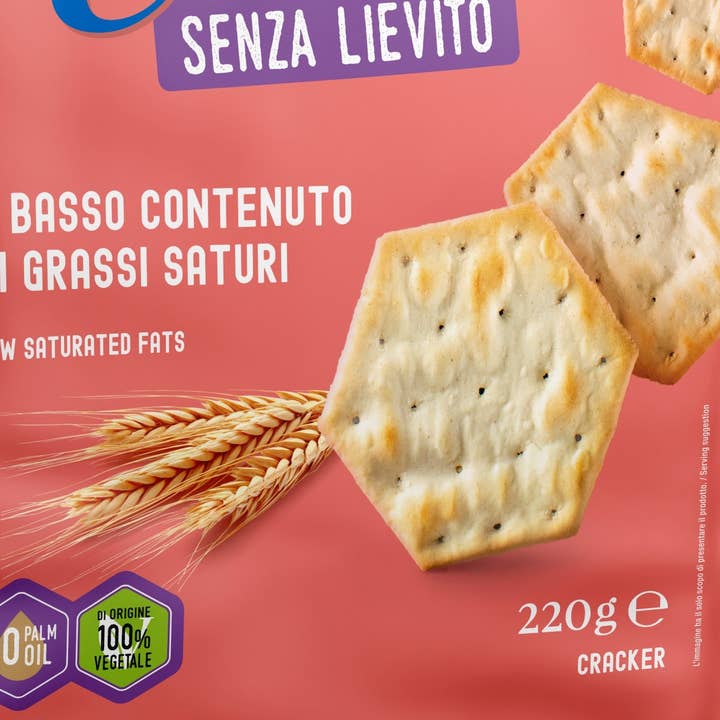 Gourmandise - Vente Biscuit salé - Biscuit sans levure - 220 gr - Monviso GèGusto