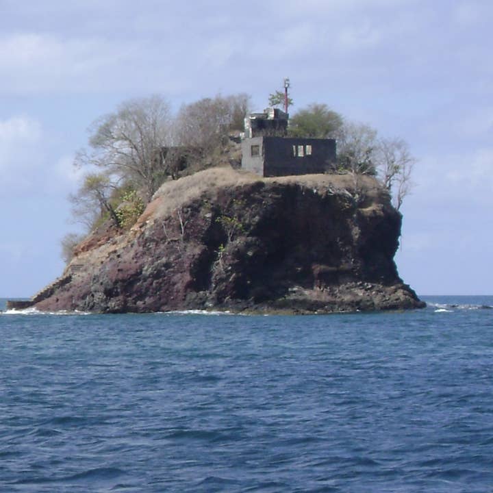 Funny Bugga - Stylo Bugga de Sainte-Lucie # 2 sur 2 pour la vente par Jane A Gordon: Jewelry Art Gifts Inspiration