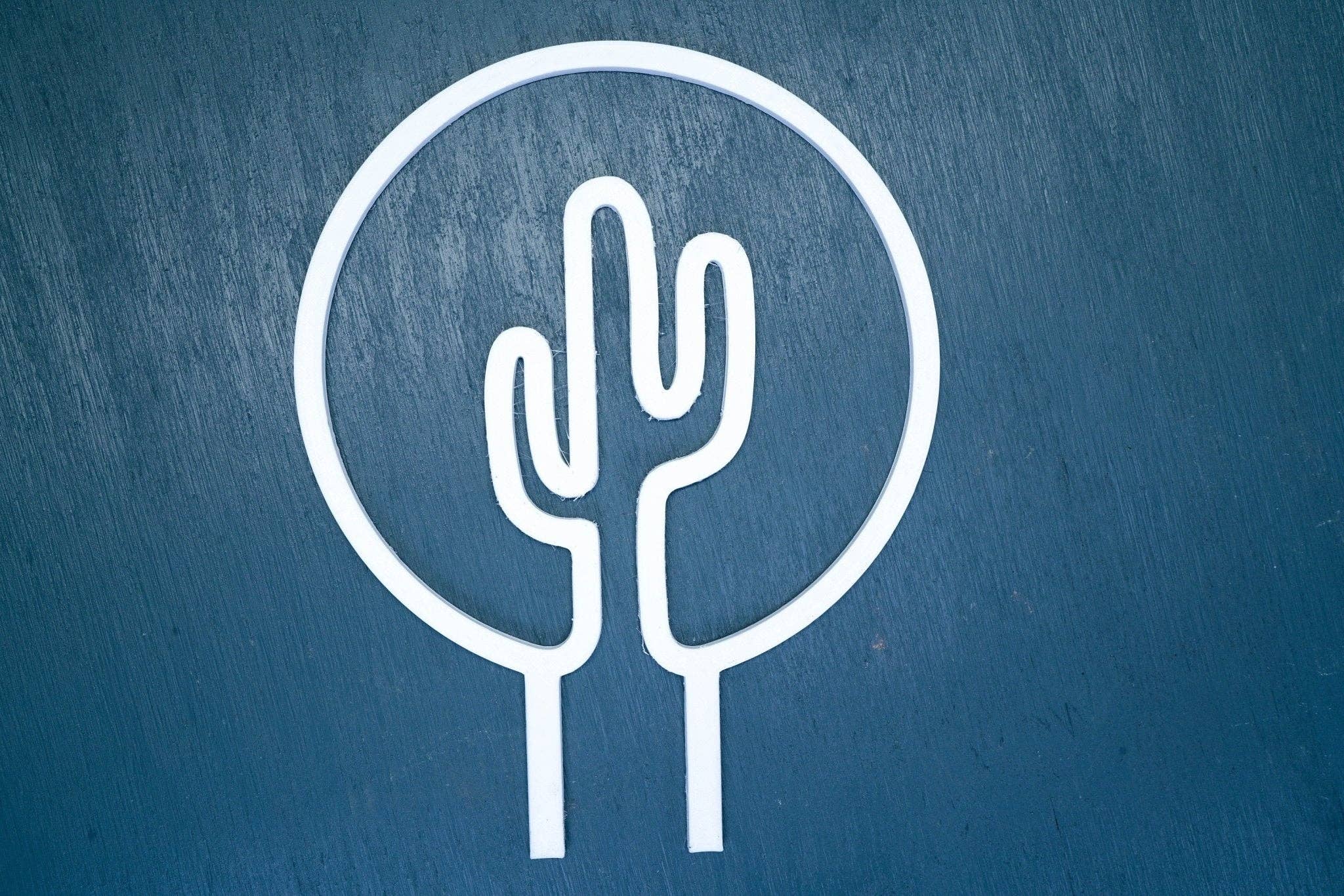 Rosebud Homegoods - Wholesale Trellis - Cactus Trellis6