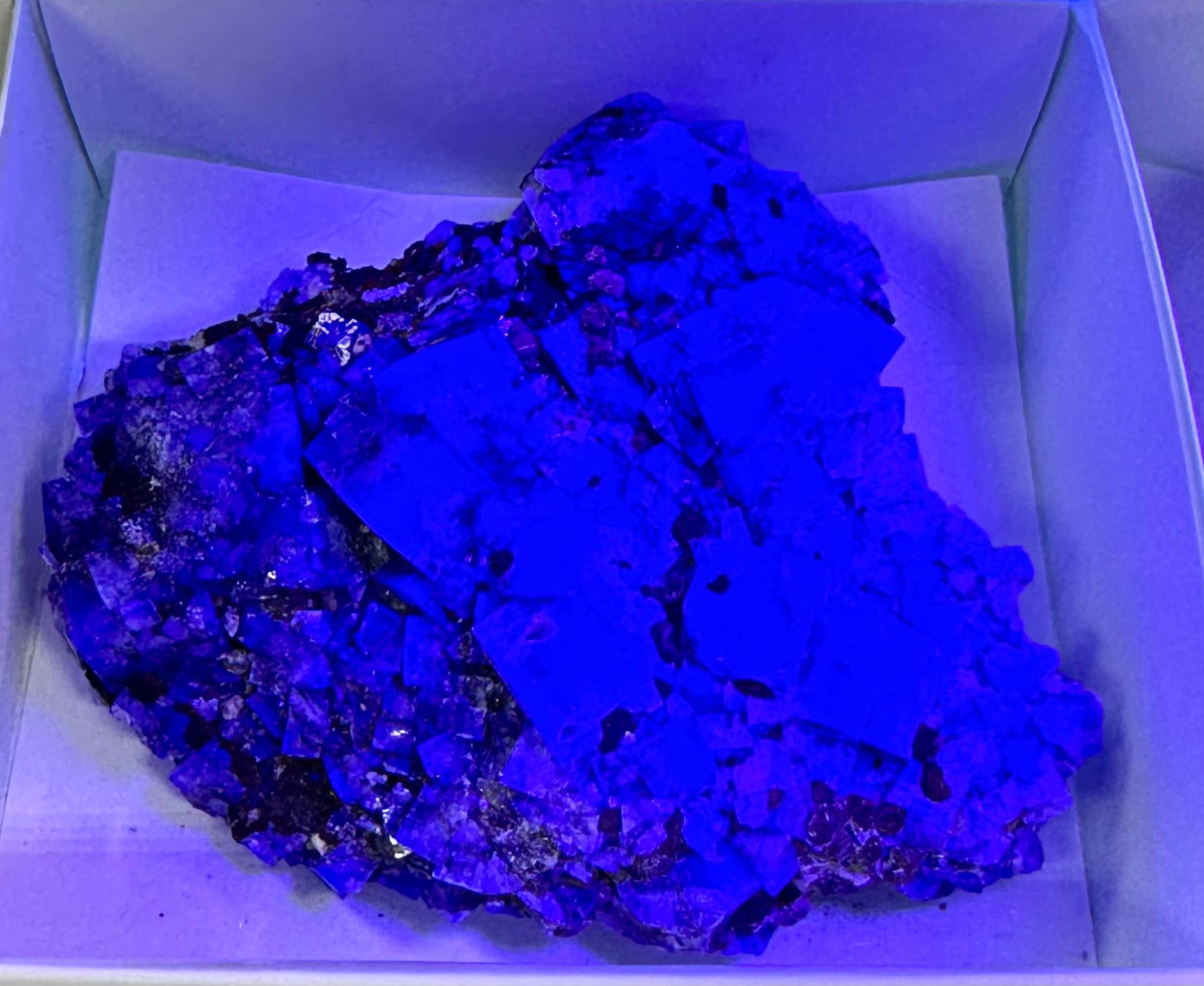 KayleeNYC - Wholesale Spiritual Stone/Crystal - Natural Diana Maria Fluorite Specimen Crystal4