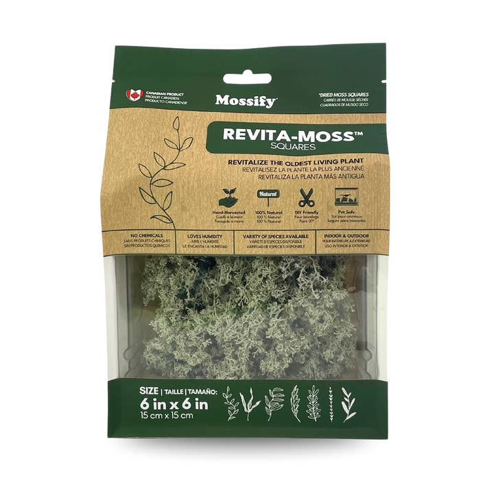 Mossify - Wholesale Live Plant - Lichen – Live or Dormant Clumps for Terrariums & Landscaping1