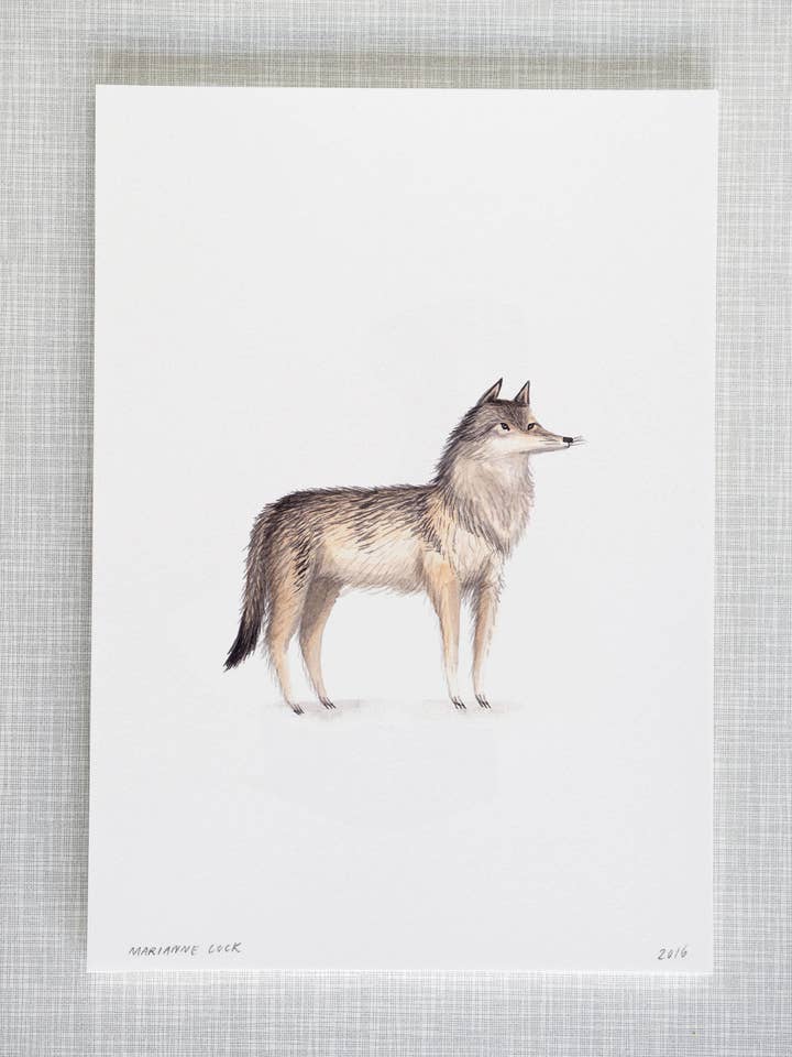 Wolf Animal Print A4 size for wholesale by Mary and the Locks