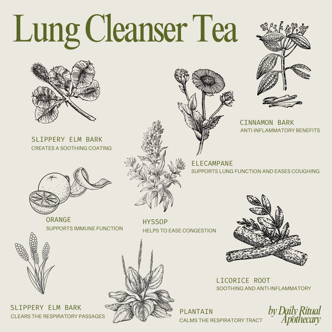 Daily Ritual Apothecary - Wholesale Loose Tea - Lung Cleanser Loose Leaf Herbal Tea | Glass Jar3