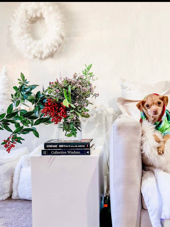 Tie Dye Festive Christmas Dog Hoodie for wholesale by Shanna's Tie Dye