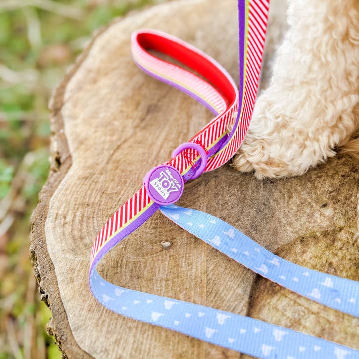 Pawsome Paws - Wholesale Pet Leash - Dog - Disney© Lead - Buzz Lightyear