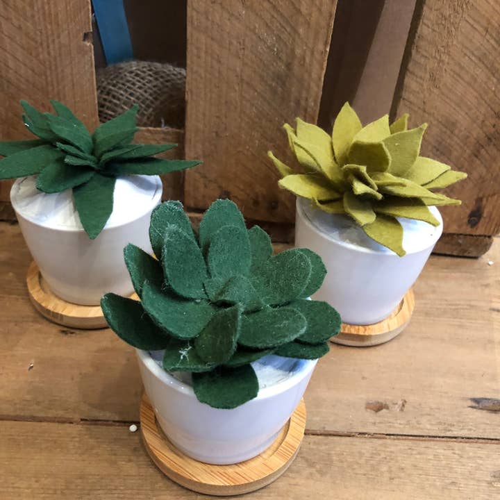 Mini Felt Cactus Plants - FC001 for wholesale by The Hare And The Moon