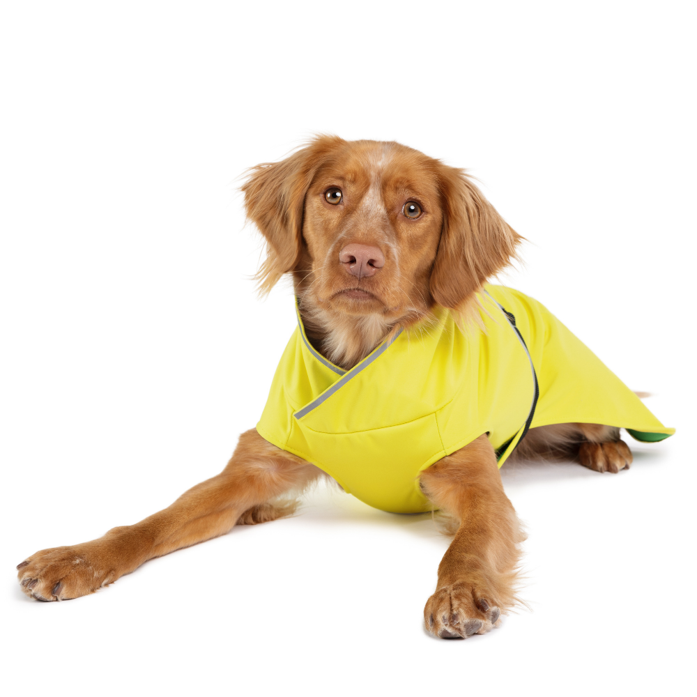Gold Paw Series – Engroshandel Regnovertræk - Hund – RainPaw II hunderegnjakke – opdateret pasform og stil4
