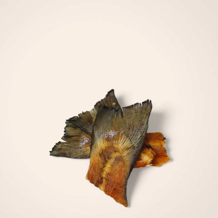 Code di salmone per la vendita all'ingrosso da parte di Woofing Wonders