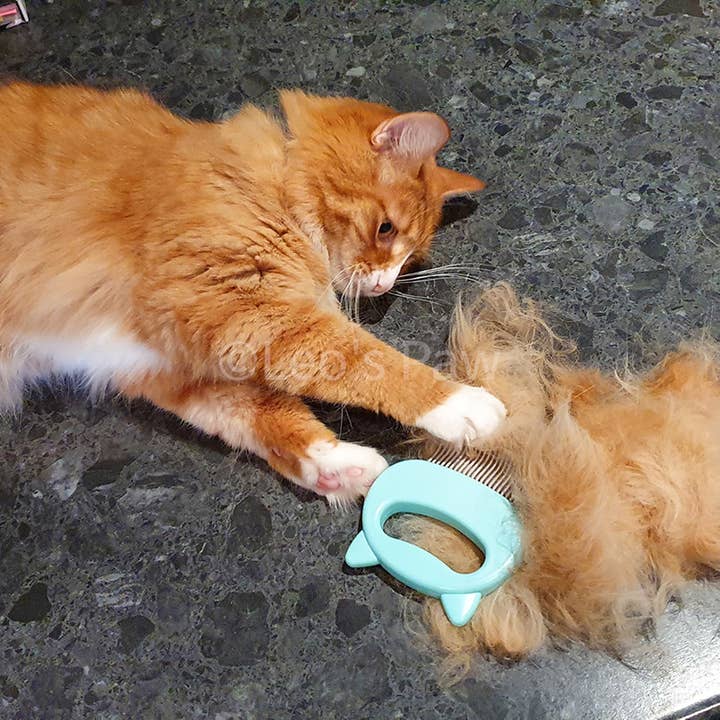 Leo's Paw - Wholesale Pet Grooming Aid - Dog - Cat Hair Removal Massaging Shell Comb12