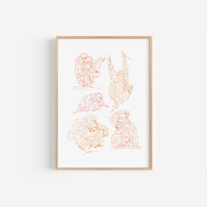 Orangutan Sketches Print for wholesale by Lauren Fitton Illustration