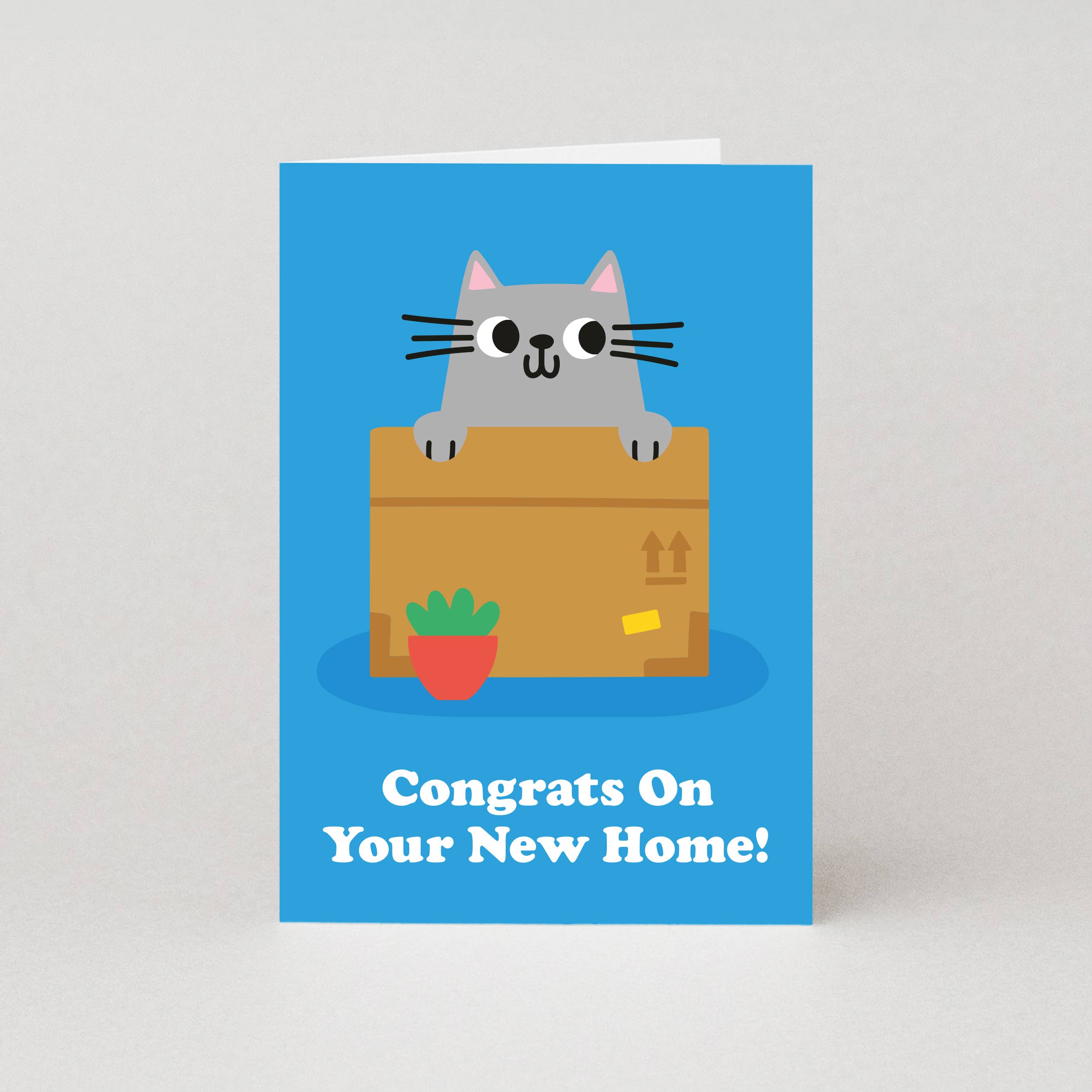 Studio Boketto – Großhandel Glückwunschkarte – Karten für das neue Zuhause der Katze | Einweihungskarten für Katzen | Katzenkarten