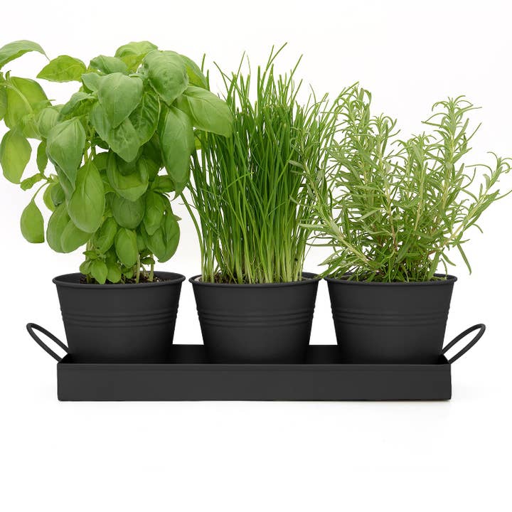 Wholesale Gifts Tomorrow – Engroshandel Plantekrukke – Sæt med 3 metal urte-/plantepotter med drypbakke (mat sort)3