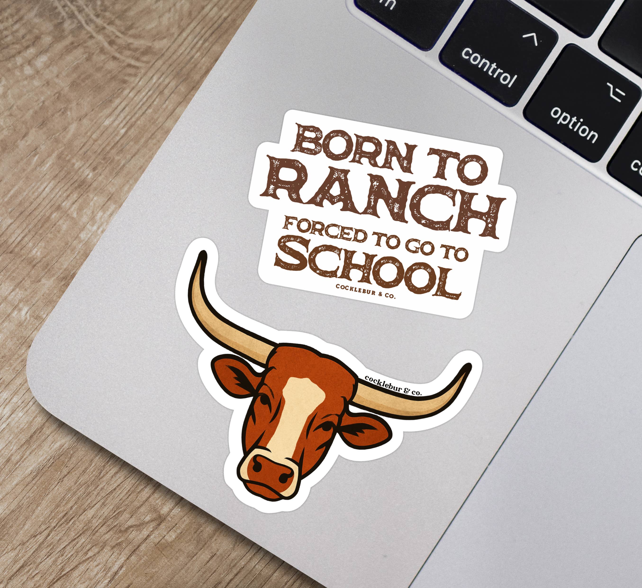 Cocklebur & Co. - Wholesale Sticker - Retro Longhorn - sticker2