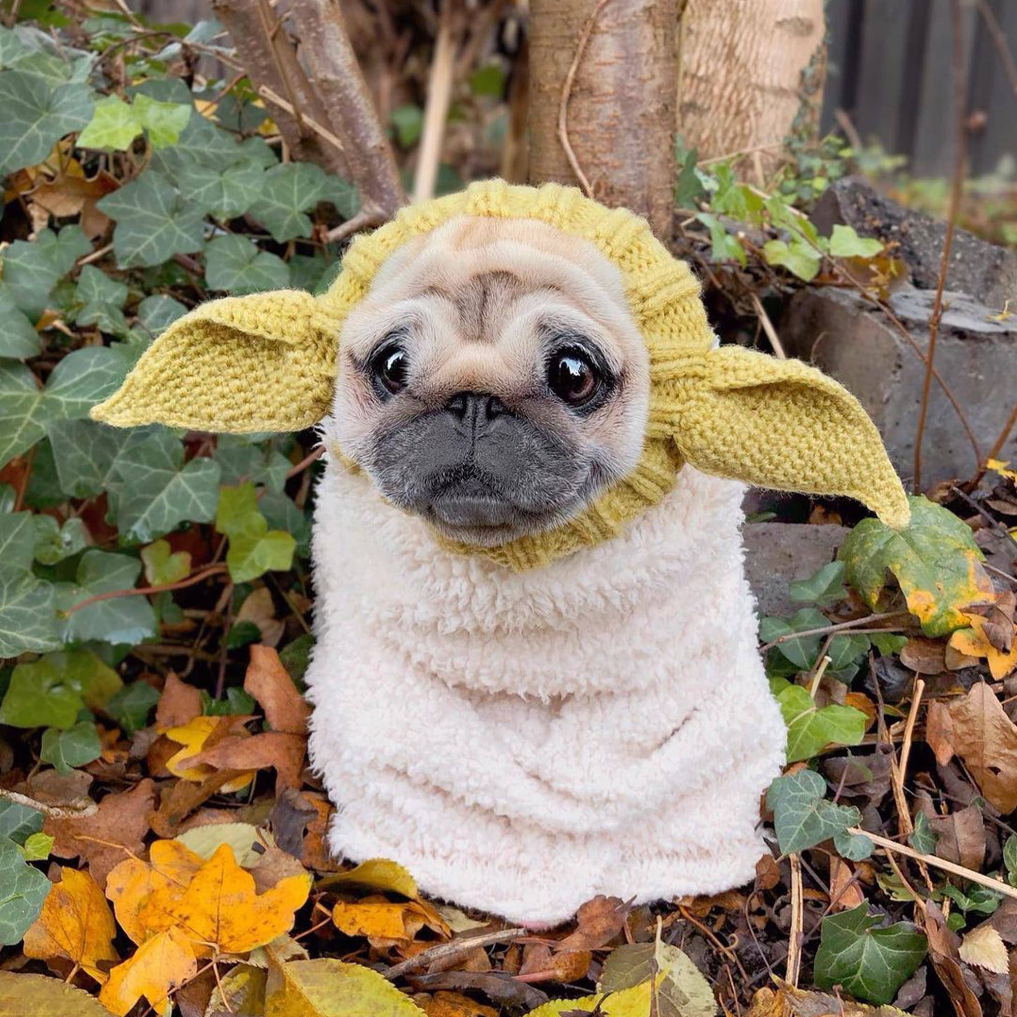 Zoo Snoods - Wholesale Pet Snood - Dog - Baby Alien Dog Snood6