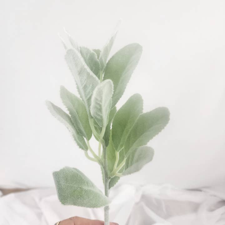 Lammeøre / Uldet Stenurt Grønt - Realistisk Kunstigt Grønt for engroshandel hos Realistic Artificial Flowers