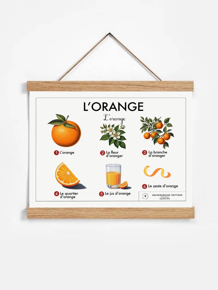 Skolplansch - Apelsinen för wholesale av Atelier Vauvenargues