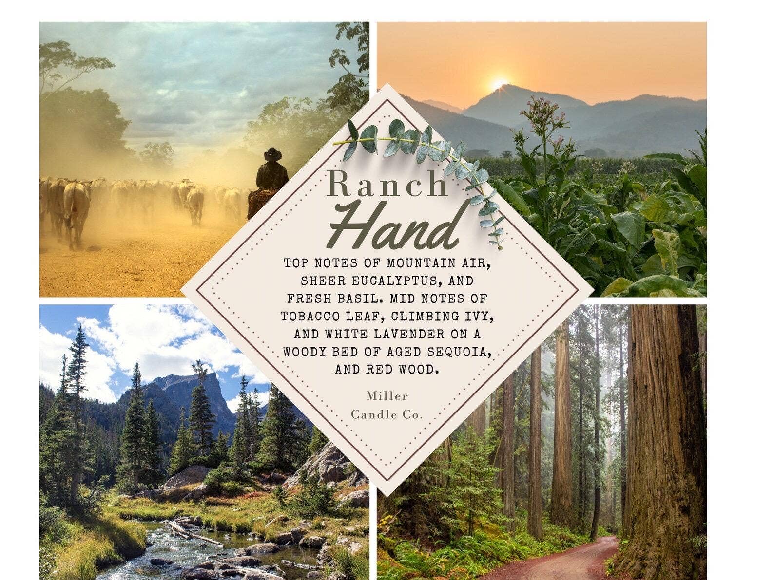 Miller Candle Co. - Wholesale Jar/Filled Candle - Ranch Hand Candle1