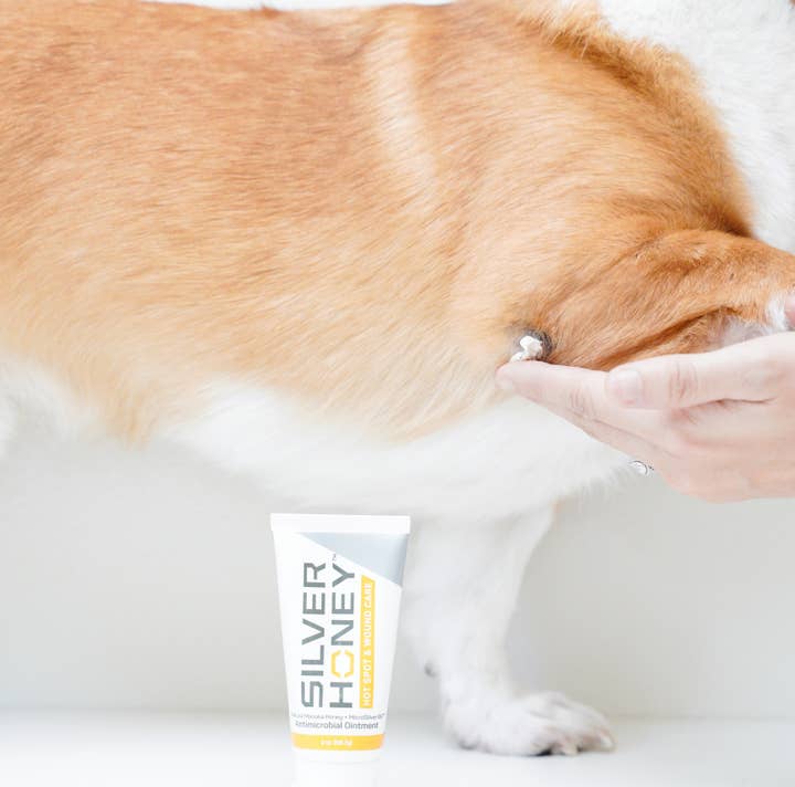 Pet Palette Distribution - Wholesale Pet Balm - Dog - Absorbine Pet - Silver Honey Hot Spot & Wound Ointment 2oz3