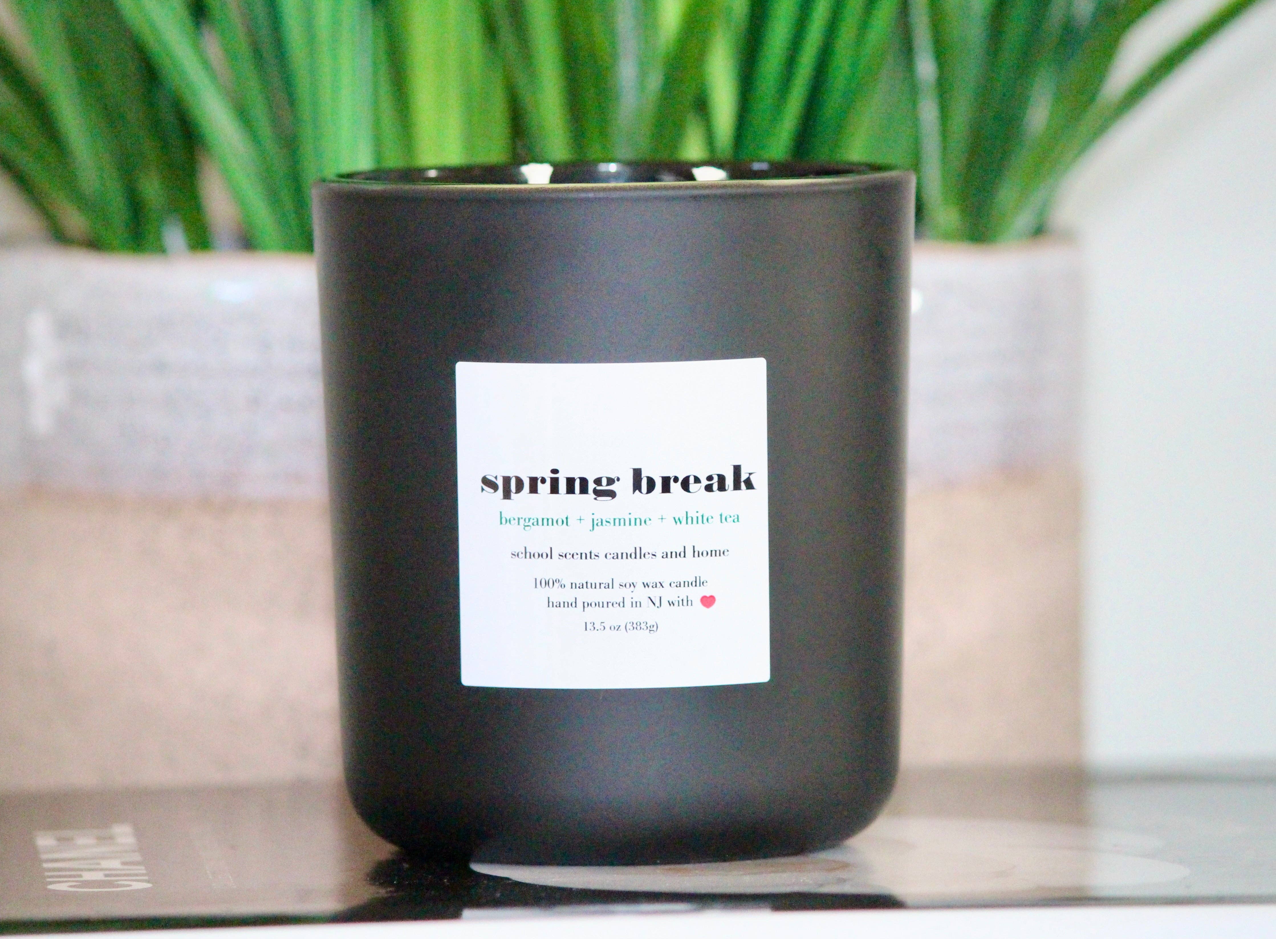 School Scents Candles - Wholesale Jar/Filled Candle - Spring Break 13.5 oz1