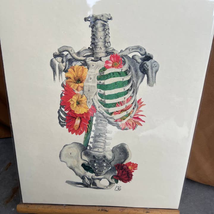 Weißer Hintergrund Alles ausgetrocknet für den Großhandel auf Faire