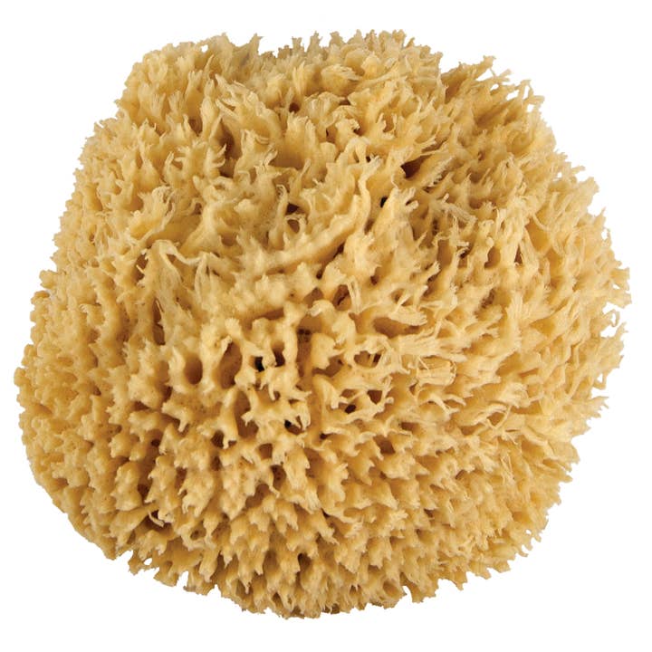 Jade & Pearl - Wholesale Bath Pouf/Sponge - WHOA. Ultra-Soft & Really Really Big Bath Sponge