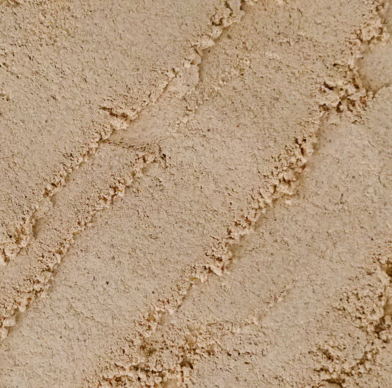 Sourcery - Wholesale Dried Spice - Zesty Nepali Ginger1