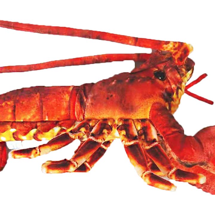 Texas Toy Distribution - Wholesale Stuffed/Plush Toy - Kids & Baby - Lobster with Claws 18" Ocean Plush Stuffed Animal2