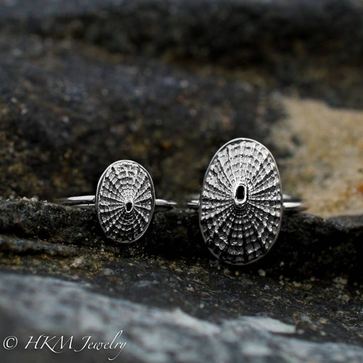 Limpet Shell Ring - Cast Seashell Ring - Sterling Silver Shell for wholesale by HKM Jewelry