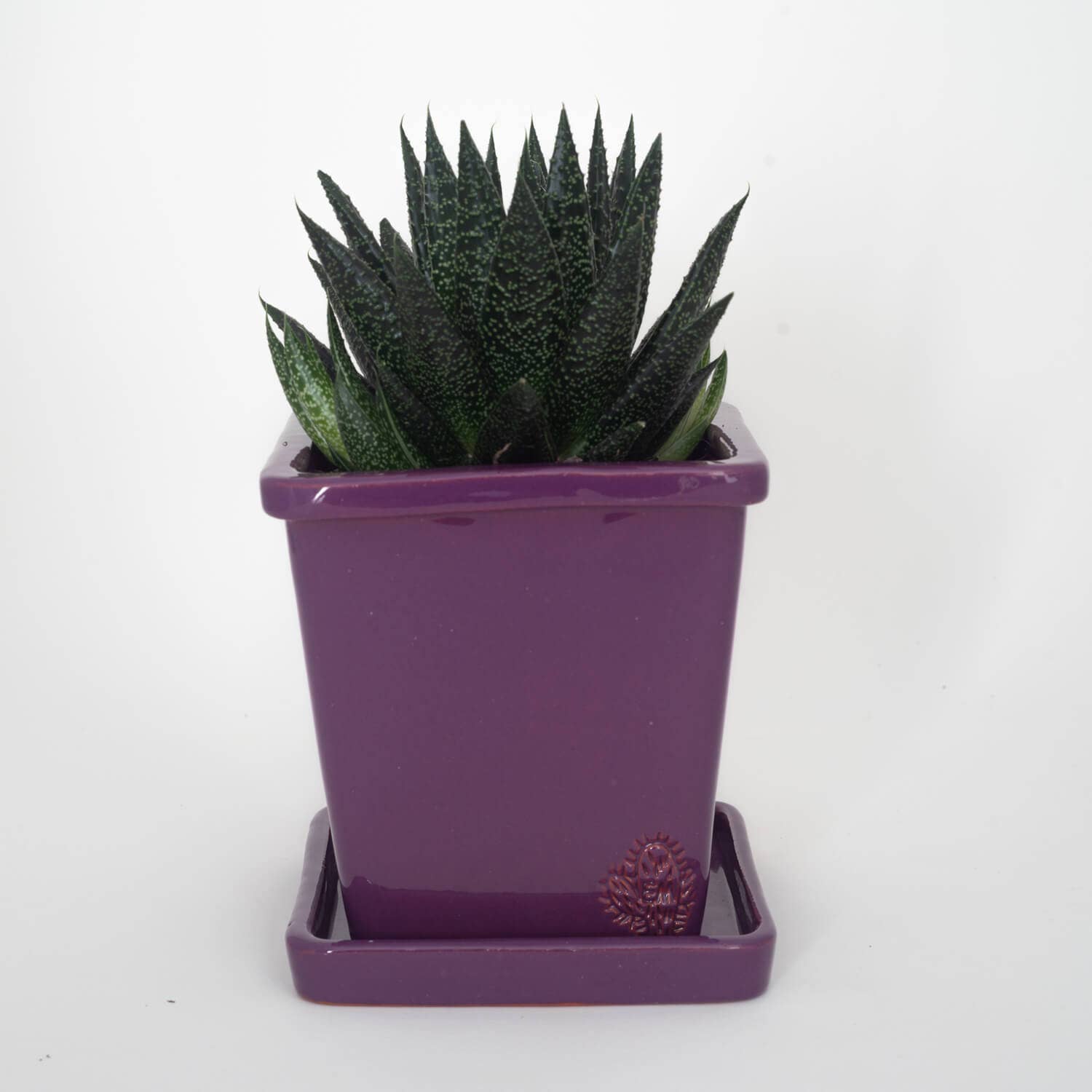 Vasos Quadrados by EM – Engroshandel Plantekrukke – Medium firkantet vase 14x14 cm - blank34