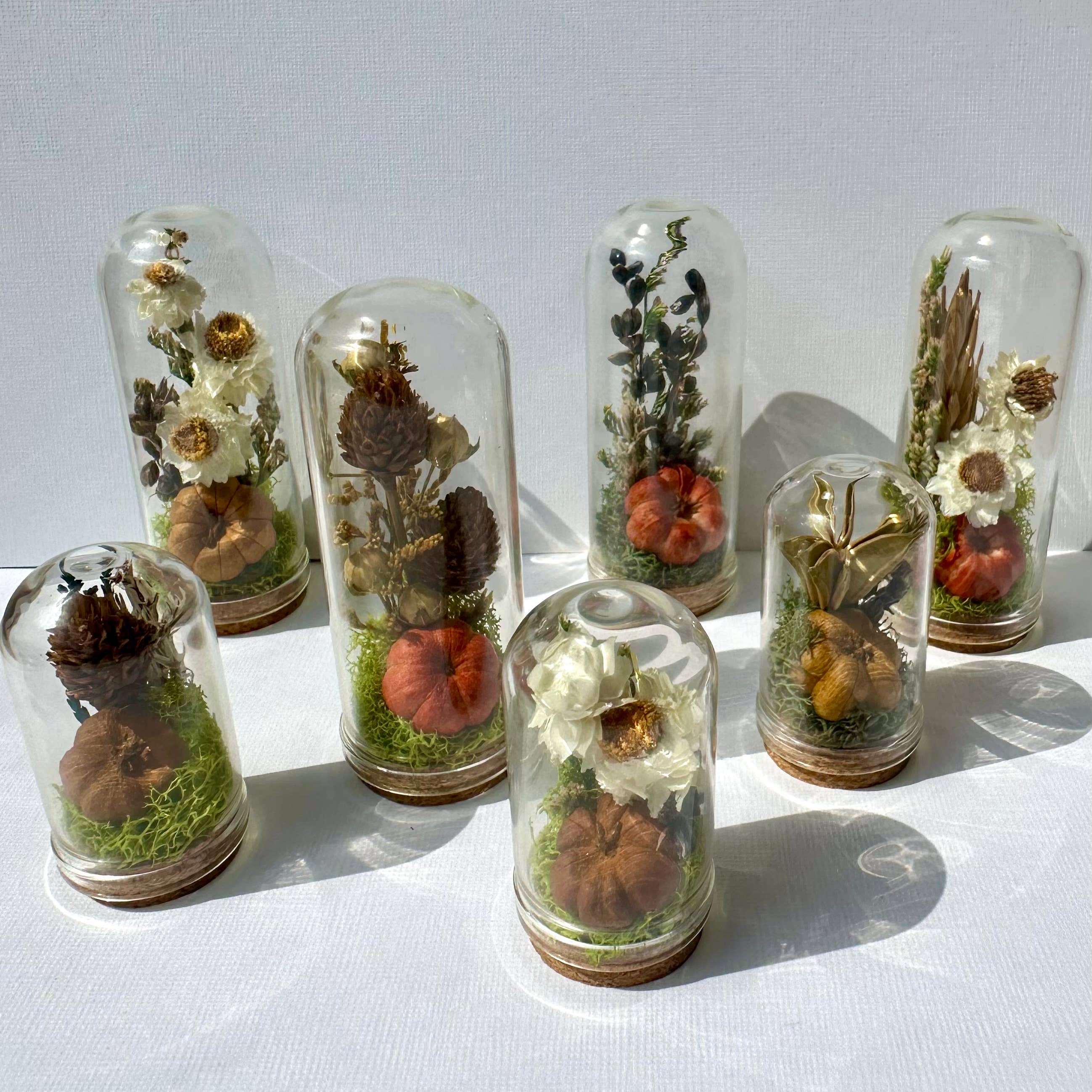 CA Studios - Wholesale Terrarium - Pumpkin Mix Mini Terrarium Potion Jar w Dried Florals4