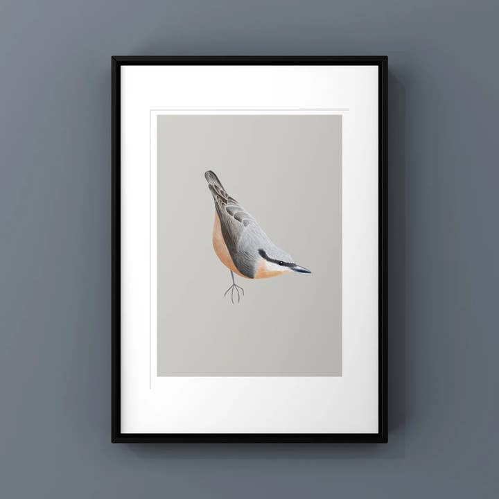 Nuthatch Print for wholesale by Susie Hamilton Art
