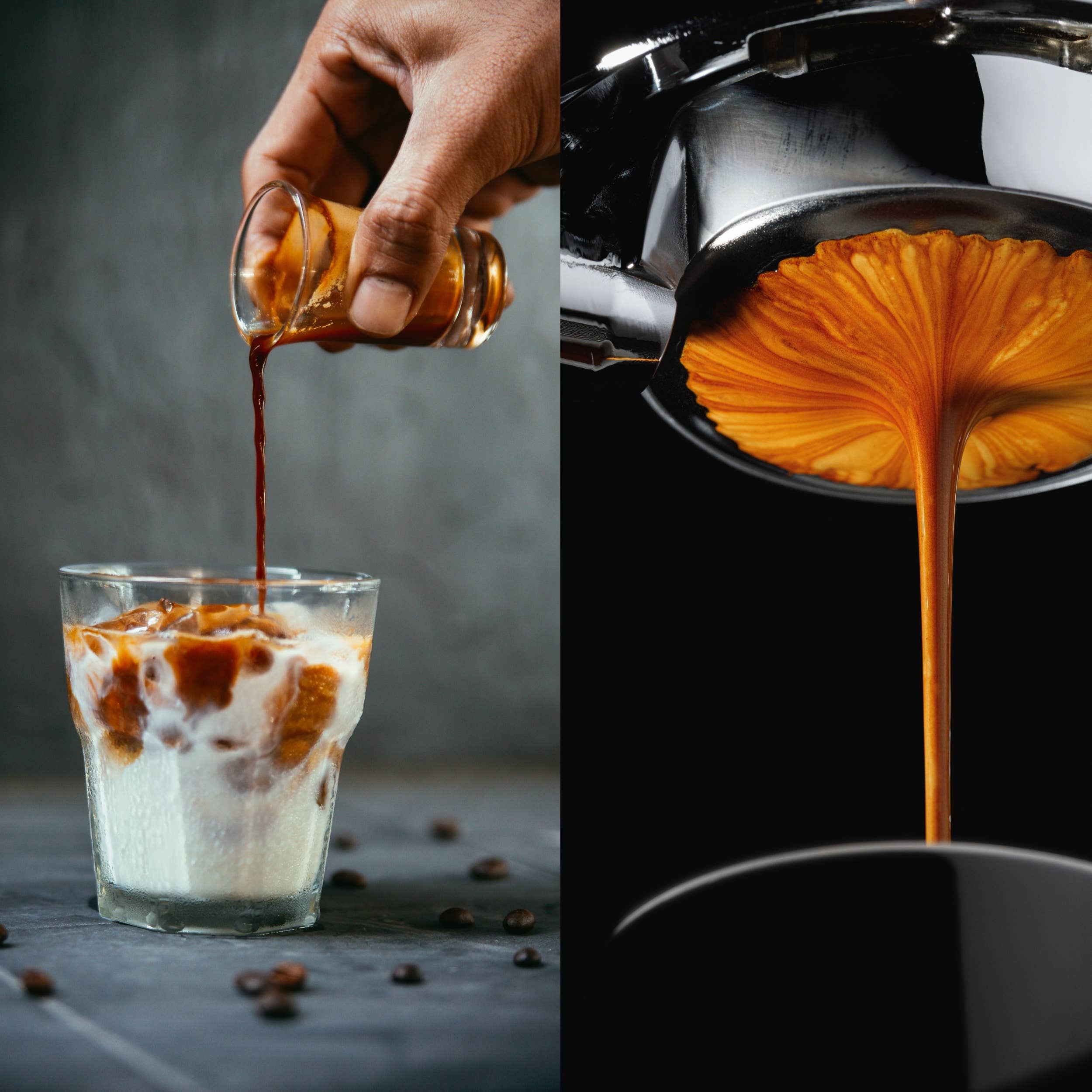 Dave's Coffee Roasters - Wholesale Coffee Beans - House Espresso Coffee 5lb Bulk Bag for Cafés & Restaurants1