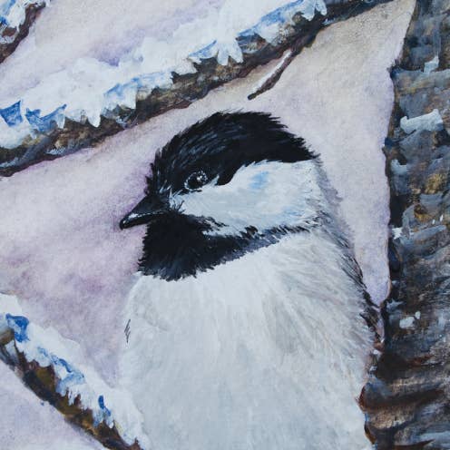 Maine Chickadee Bird - Tomt gratulationskort #KC104C för wholesale av Kellie Chasse Fine Art