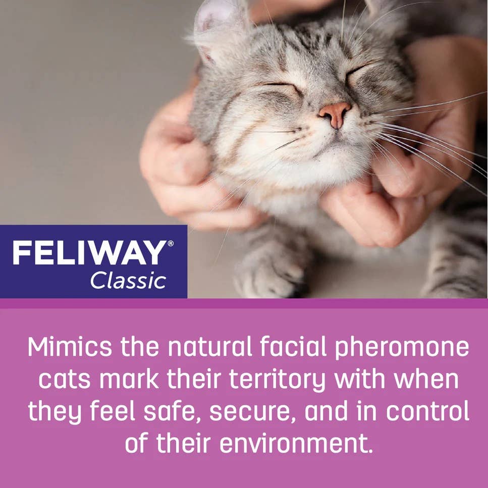 Pet Palette Distribution - Wholesale Pet Deodorizing Spray - Feliway Classic Cat Calming Pheromone Diffuser 30 Day Kit5