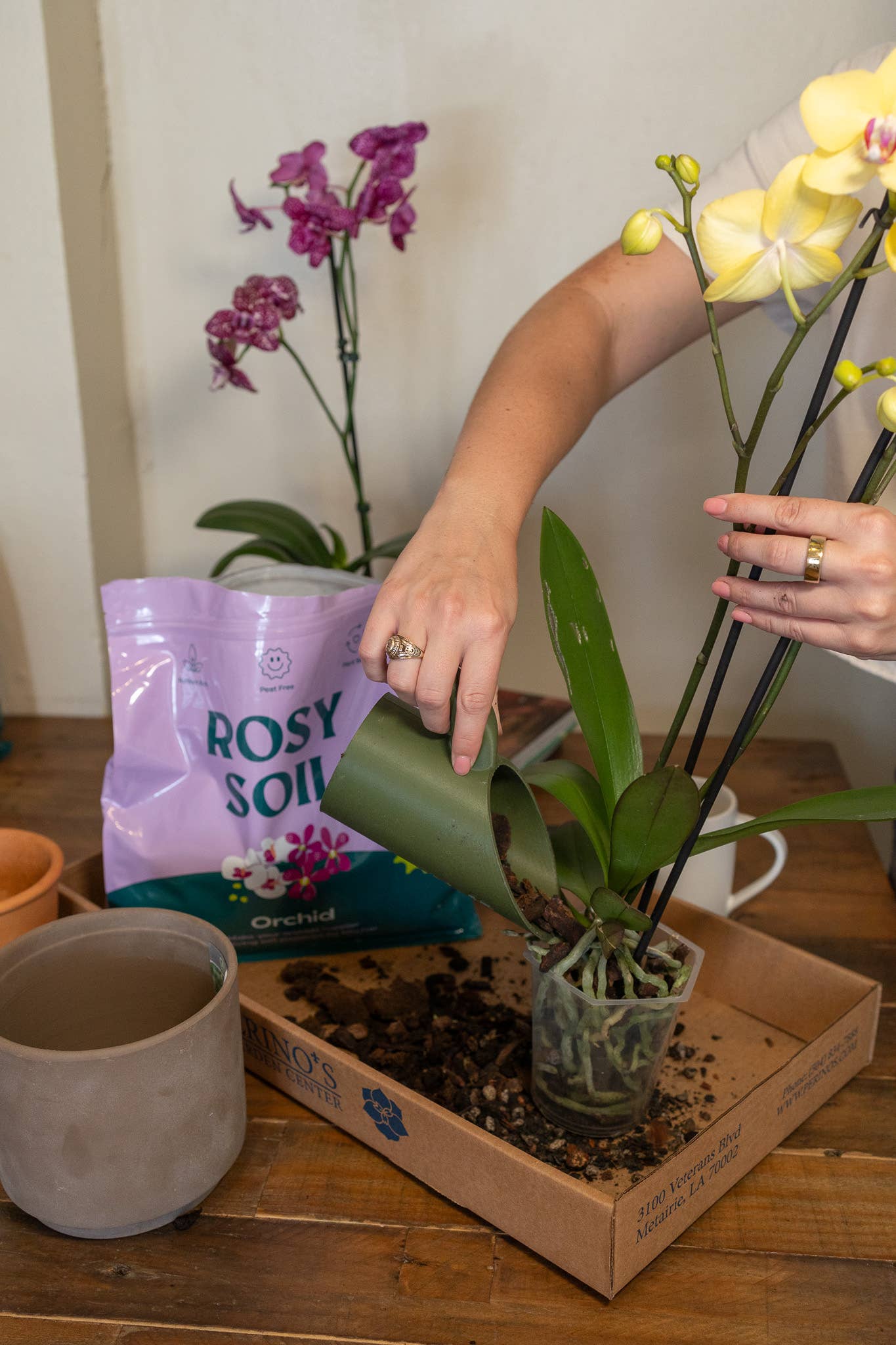 Rosy Soil - Wholesale Planting/Potting Soil - 4qt Orchid Mix2