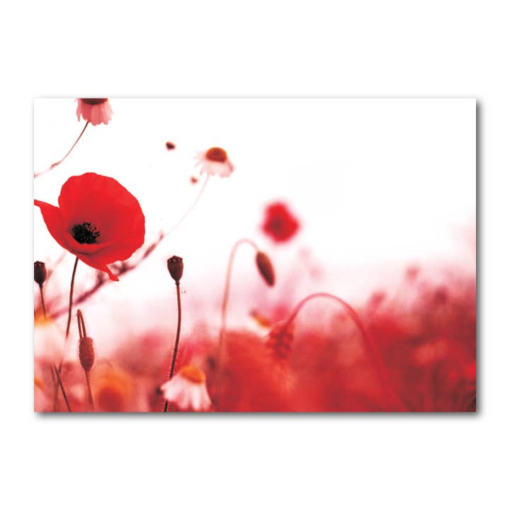 Ansichtkaart landschapsformaat, gekleurd, DIN A6 MG1290 voor wholesale door Gutrath Verlag