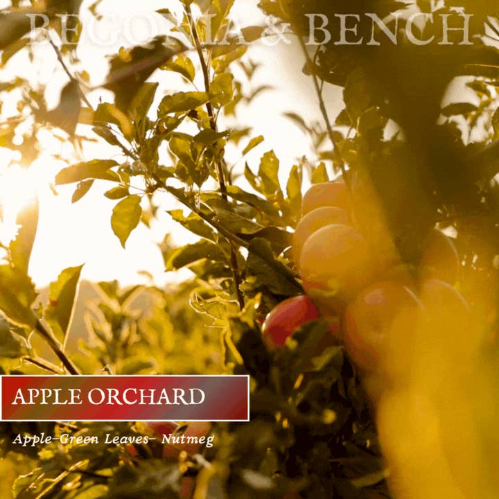 Apple Orchard | Soy Candle | Apple Spice | 9oz
for wholesale by Begonia & Bench